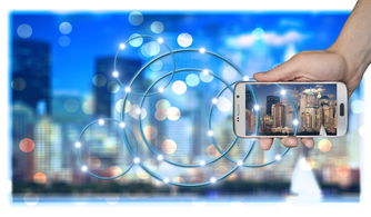 AC Milan官方APP下载-中国篮球职业俱乐部财务风险管理策略研究，篮球俱乐部运营情况